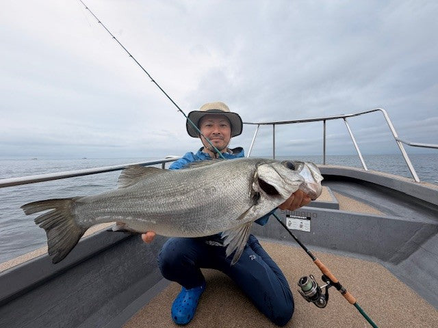 ヒラスズキにスプーン