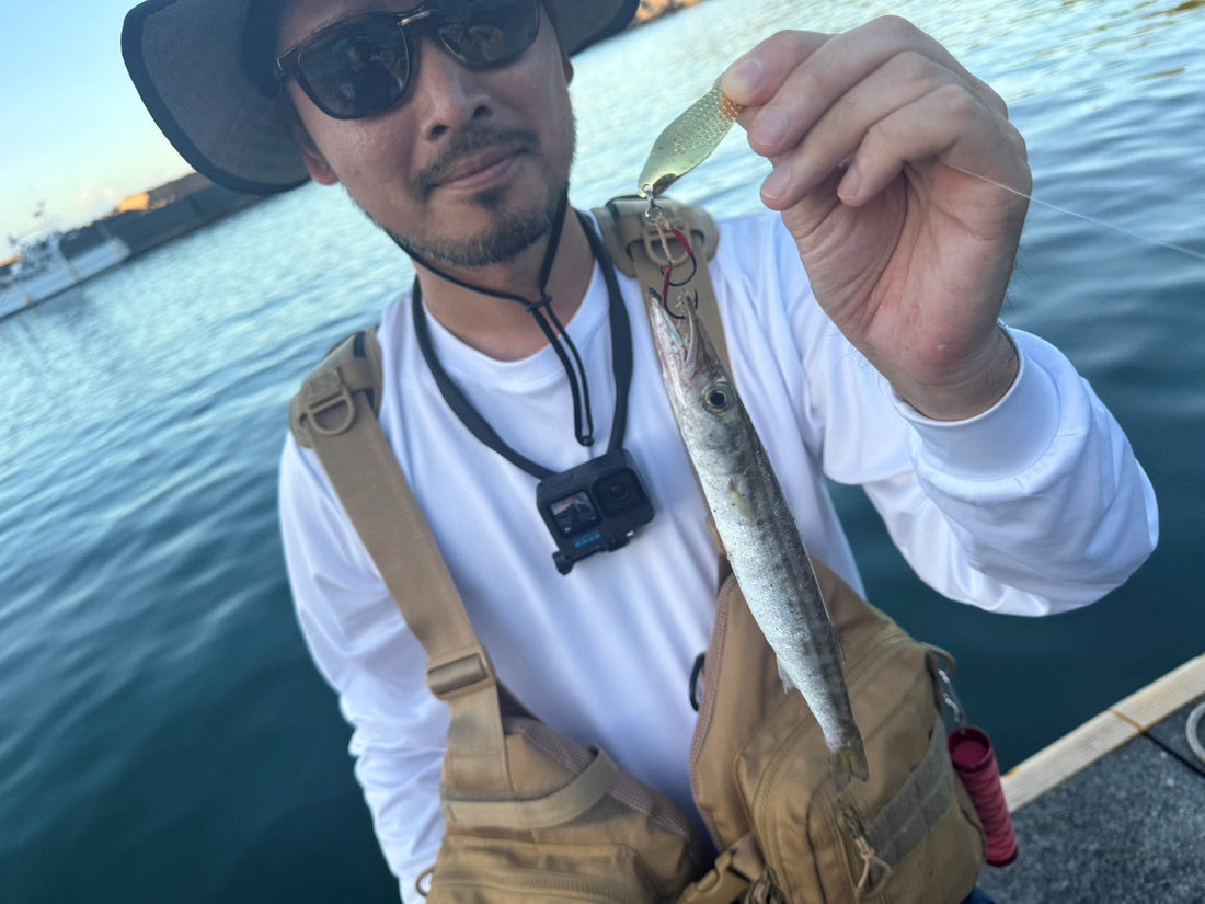 カマスが釣れまくるルアー(スプーン)で入れ食いに